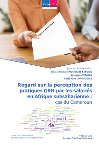   Regard sur la perception des pratiques GRH par les salariés en Afrique subsaharienne : cas du Cameroun  